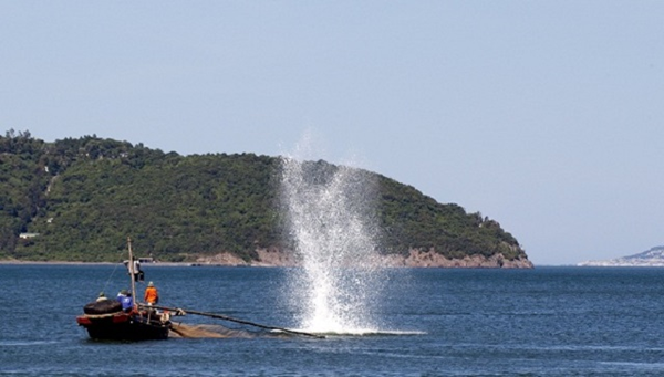 Nhiều ngư dân dùng chất nổ để đánh bắt thủy sản trái phép